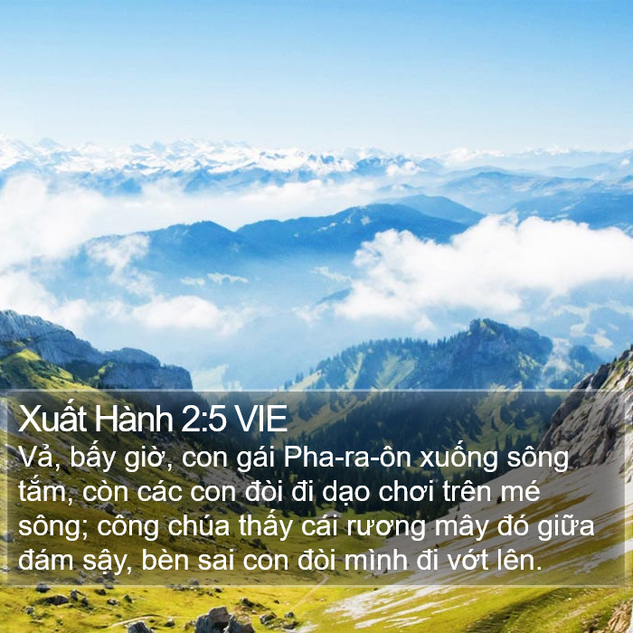 Xuất Hành 2:5 VIE Bible Study