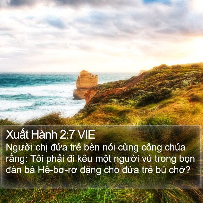 Xuất Hành 2:7 VIE Bible Study