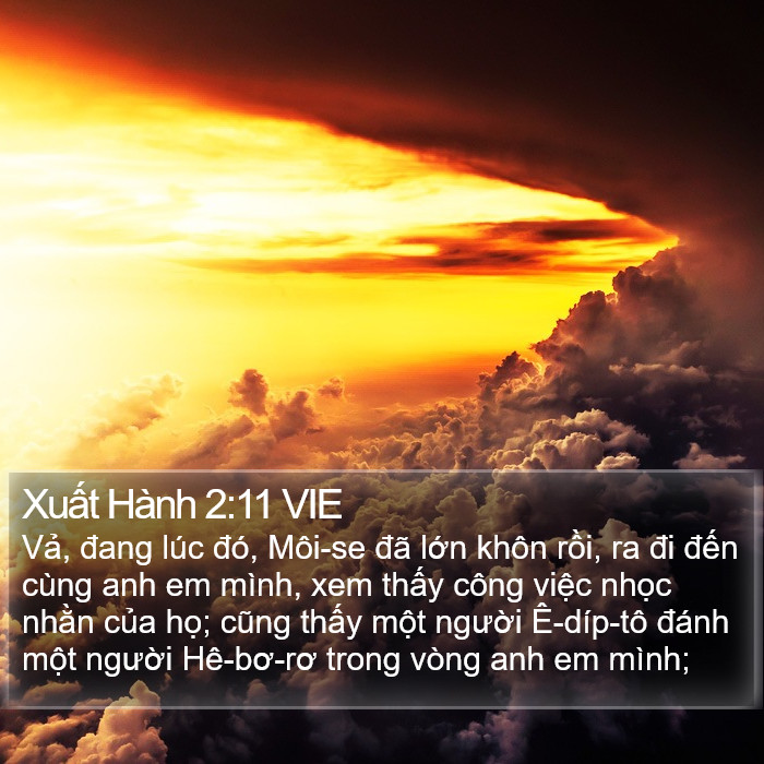 Xuất Hành 2:11 VIE Bible Study