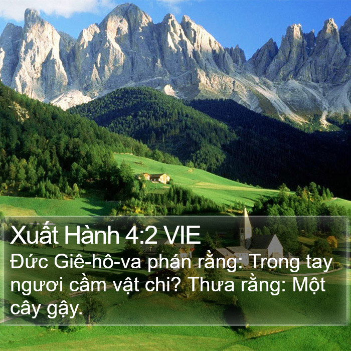 Xuất Hành 4:2 VIE Bible Study