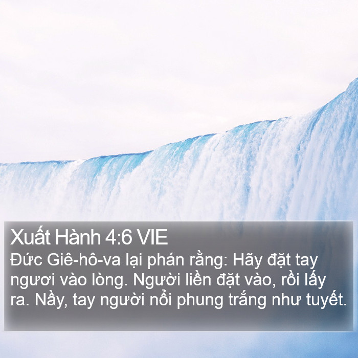 Xuất Hành 4:6 VIE Bible Study