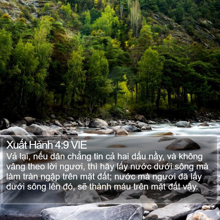 Xuất Hành 4:9 VIE Bible Study