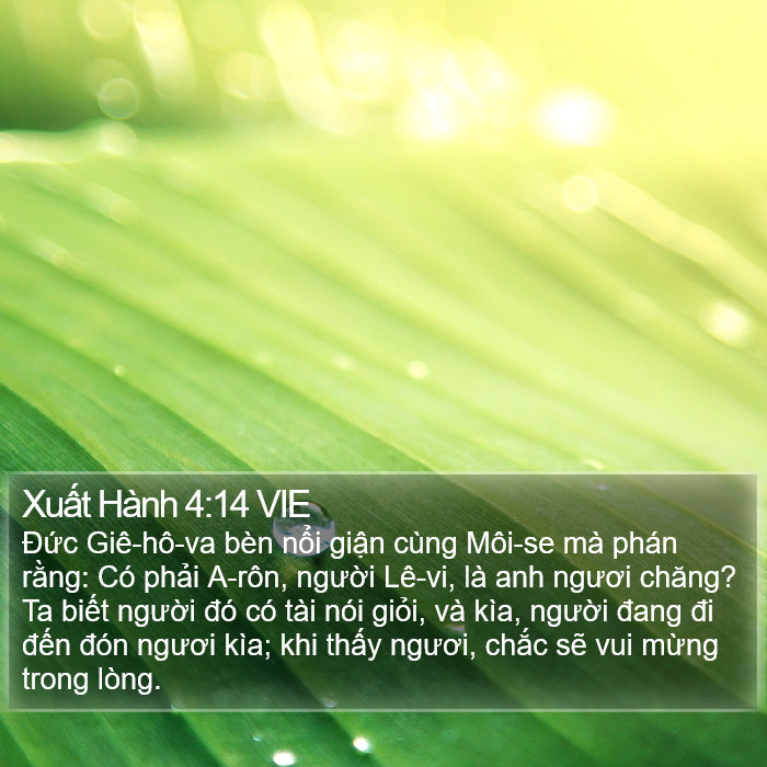 Xuất Hành 4:14 VIE Bible Study