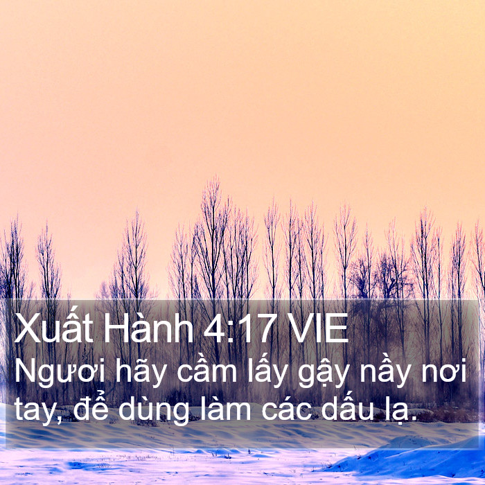 Xuất Hành 4:17 VIE Bible Study