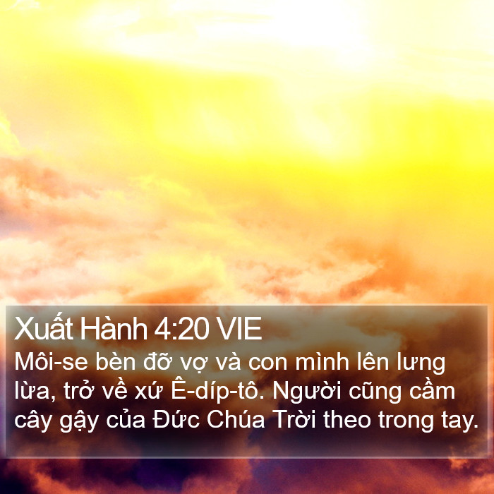 Xuất Hành 4:20 VIE Bible Study