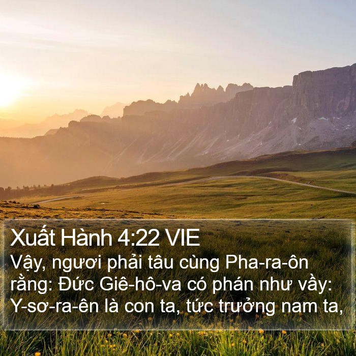 Xuất Hành 4:22 VIE Bible Study