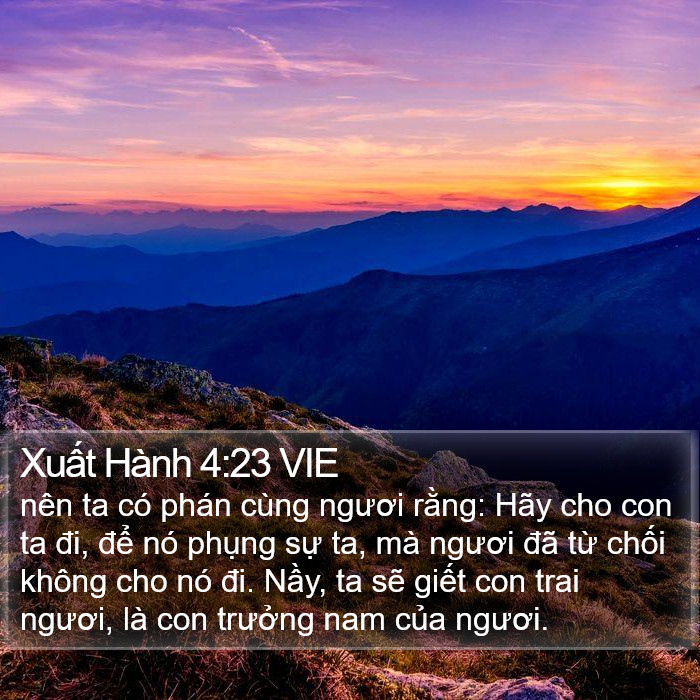 Xuất Hành 4:23 VIE Bible Study