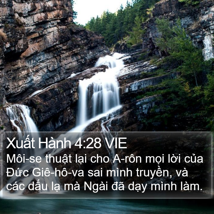 Xuất Hành 4:28 VIE Bible Study