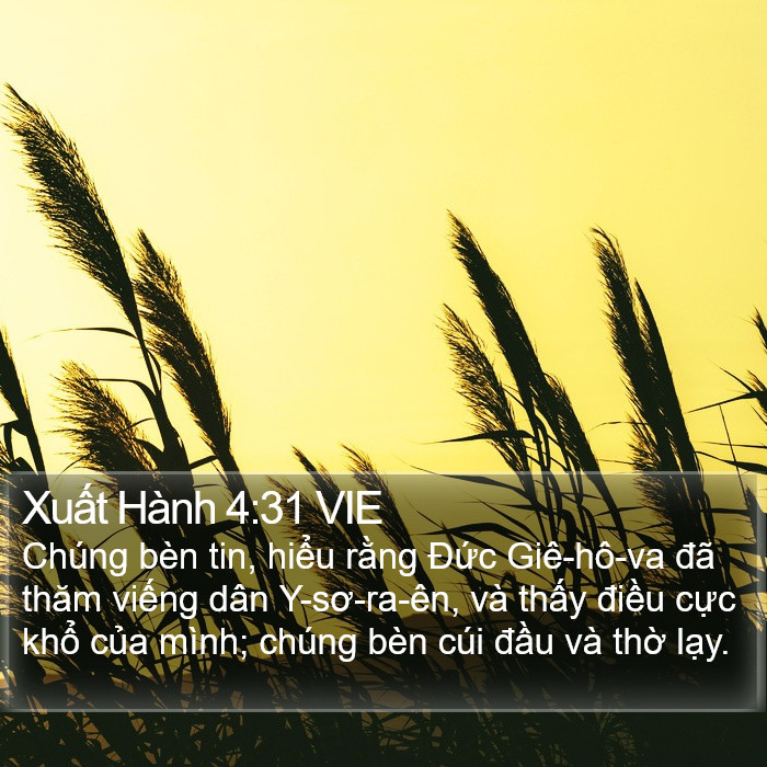 Xuất Hành 4:31 VIE Bible Study