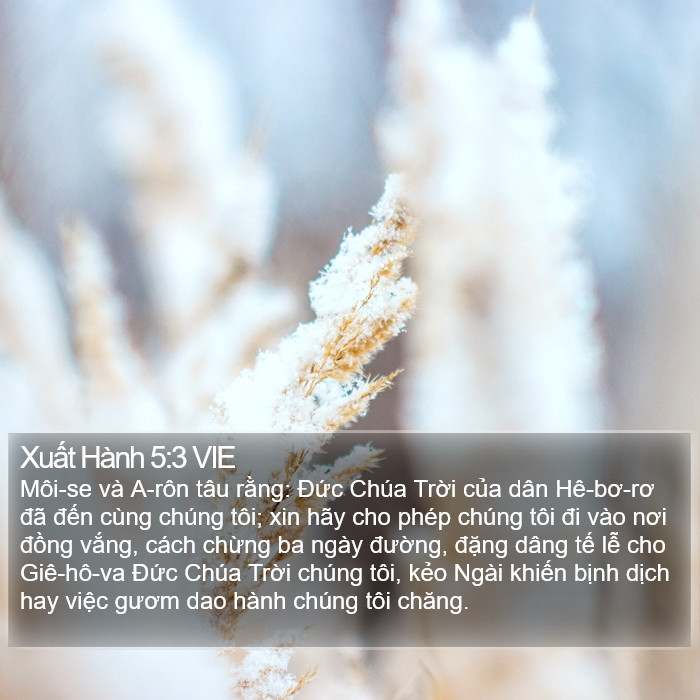 Xuất Hành 5:3 VIE Bible Study