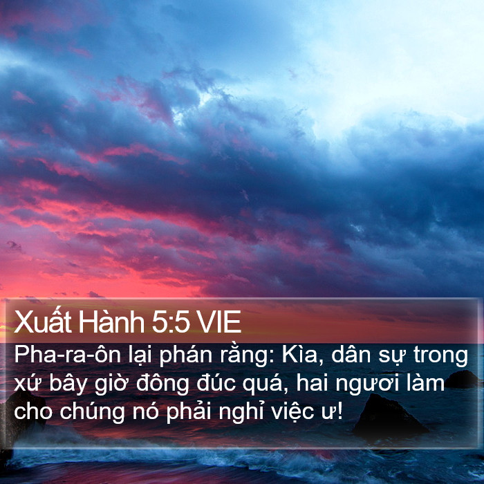 Xuất Hành 5:5 VIE Bible Study