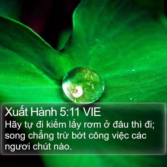 Xuất Hành 5:11 VIE Bible Study