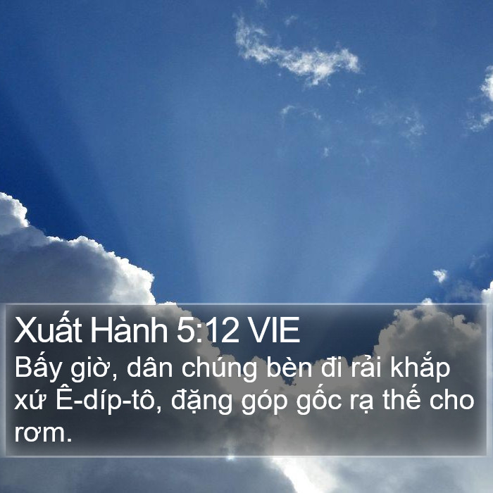 Xuất Hành 5:12 VIE Bible Study