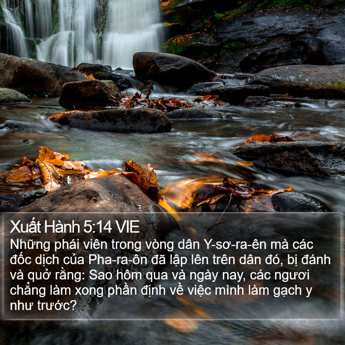 Xuất Hành 5:14 VIE Bible Study
