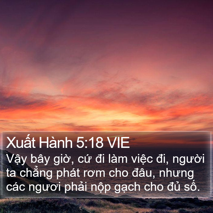 Xuất Hành 5:18 VIE Bible Study