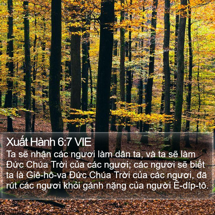Xuất Hành 6:7 VIE Bible Study