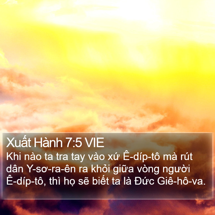 Xuất Hành 7:5 VIE Bible Study