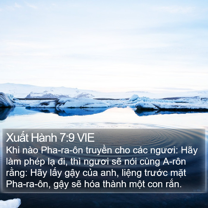 Xuất Hành 7:9 VIE Bible Study