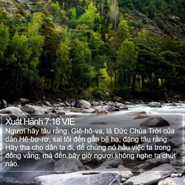 Xuất Hành 7:16 VIE Bible Study