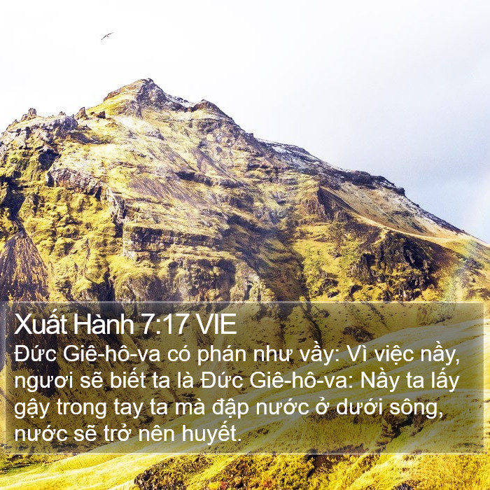 Xuất Hành 7:17 VIE Bible Study