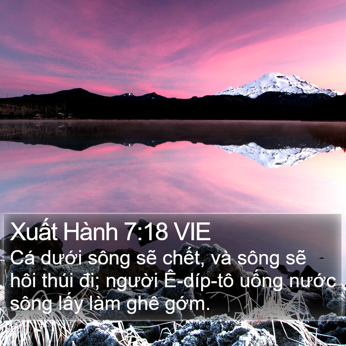 Xuất Hành 7:18 VIE Bible Study