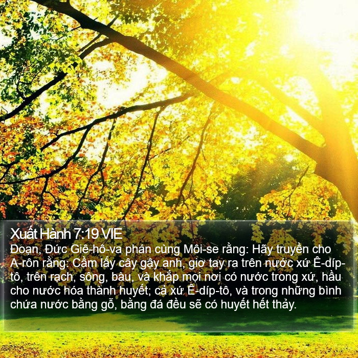 Xuất Hành 7:19 VIE Bible Study