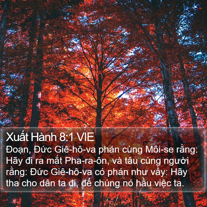 Xuất Hành 8:1 VIE Bible Study