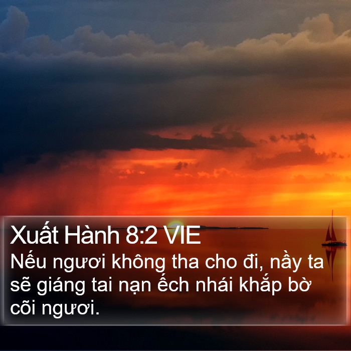 Xuất Hành 8:2 VIE Bible Study