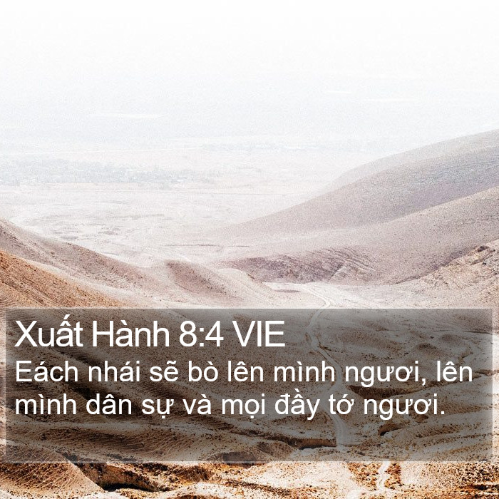 Xuất Hành 8:4 VIE Bible Study