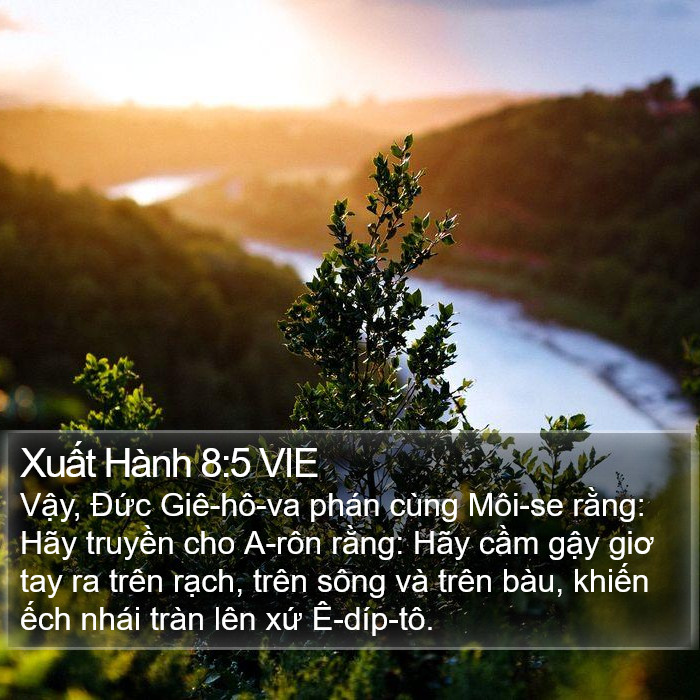 Xuất Hành 8:5 VIE Bible Study