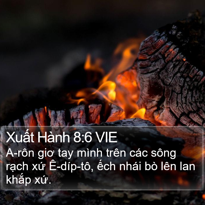 Xuất Hành 8:6 VIE Bible Study