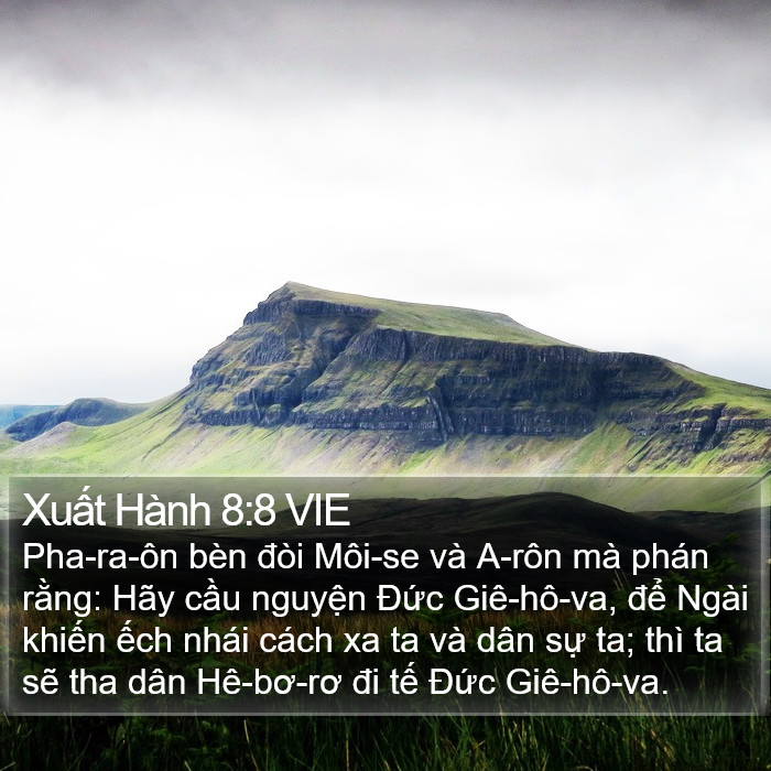 Xuất Hành 8:8 VIE Bible Study