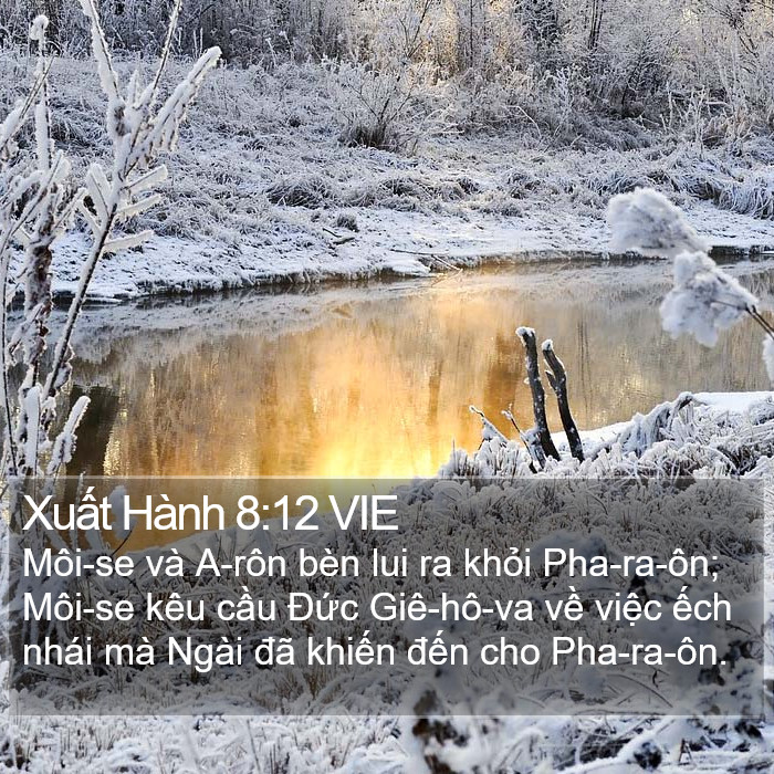 Xuất Hành 8:12 VIE Bible Study