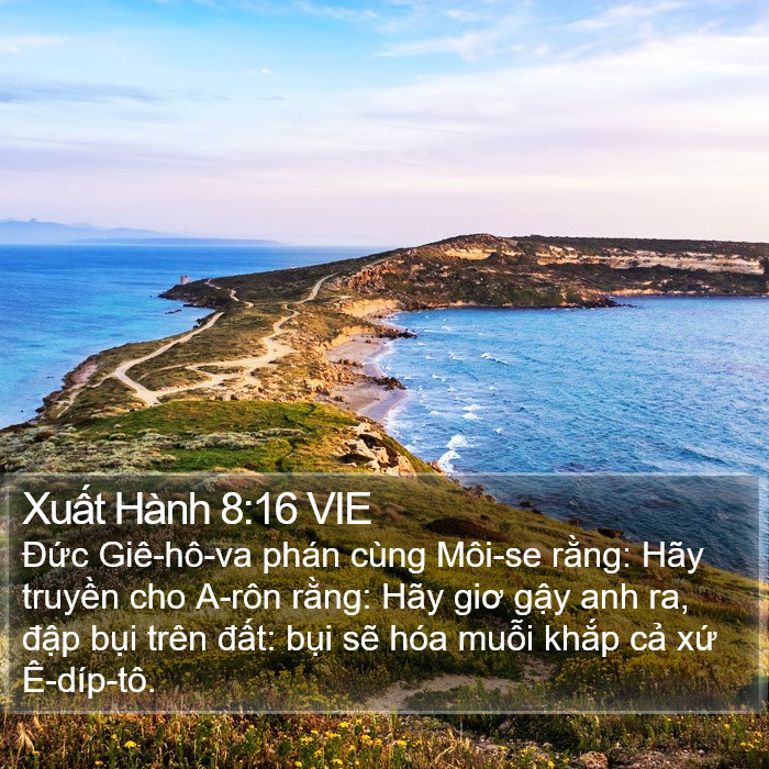 Xuất Hành 8:16 VIE Bible Study