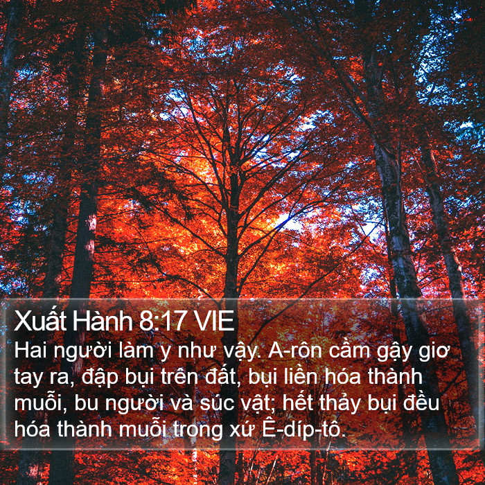 Xuất Hành 8:17 VIE Bible Study