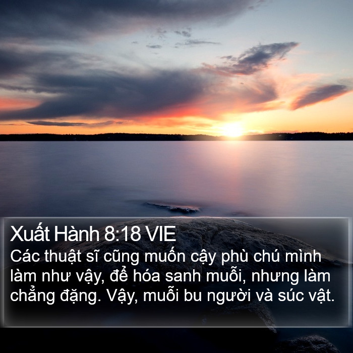 Xuất Hành 8:18 VIE Bible Study