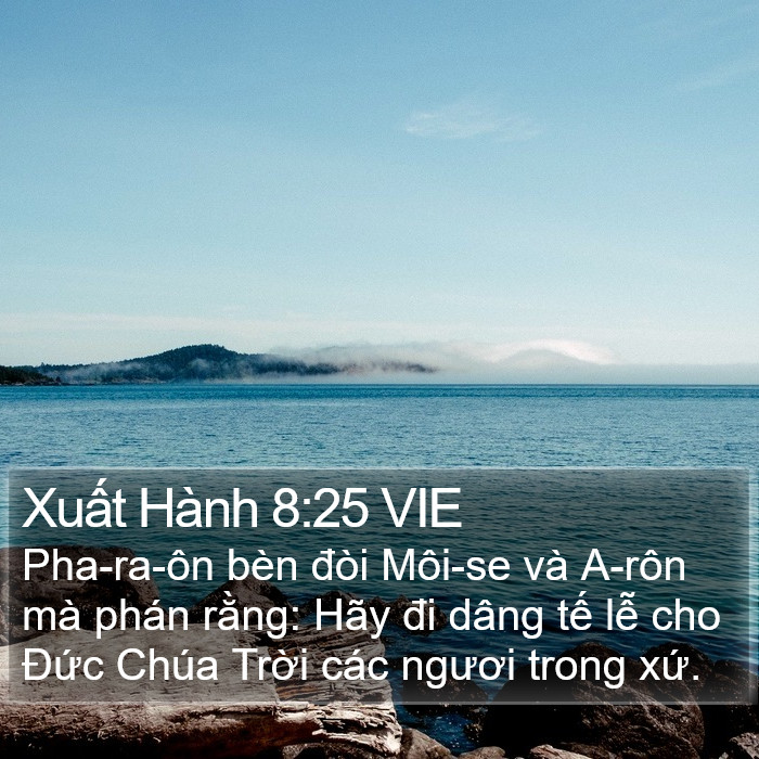 Xuất Hành 8:25 VIE Bible Study