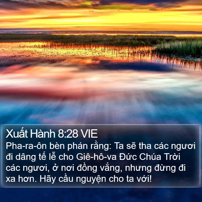 Xuất Hành 8:28 VIE Bible Study