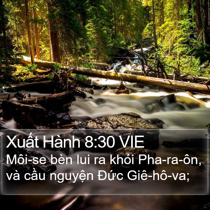 Xuất Hành 8:30 VIE Bible Study