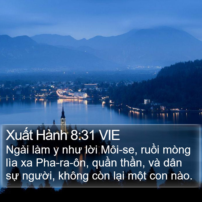 Xuất Hành 8:31 VIE Bible Study