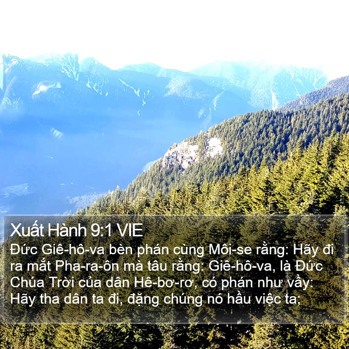 Xuất Hành 9:1 VIE Bible Study