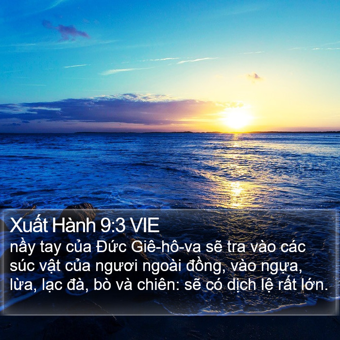 Xuất Hành 9:3 VIE Bible Study