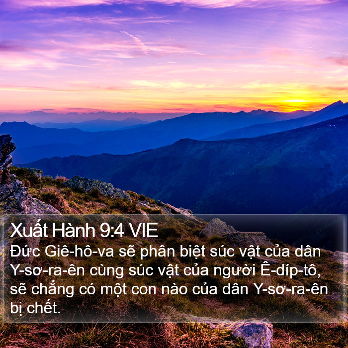 Xuất Hành 9:4 VIE Bible Study