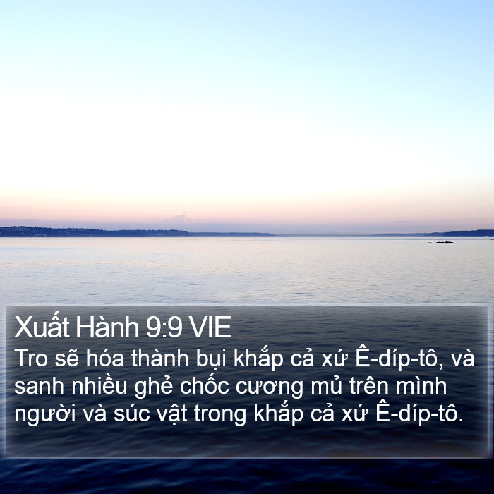 Xuất Hành 9:9 VIE Bible Study