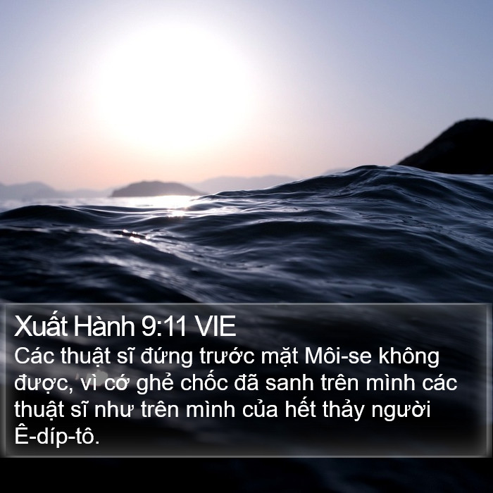 Xuất Hành 9:11 VIE Bible Study