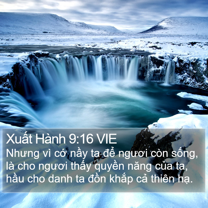 Xuất Hành 9:16 VIE Bible Study