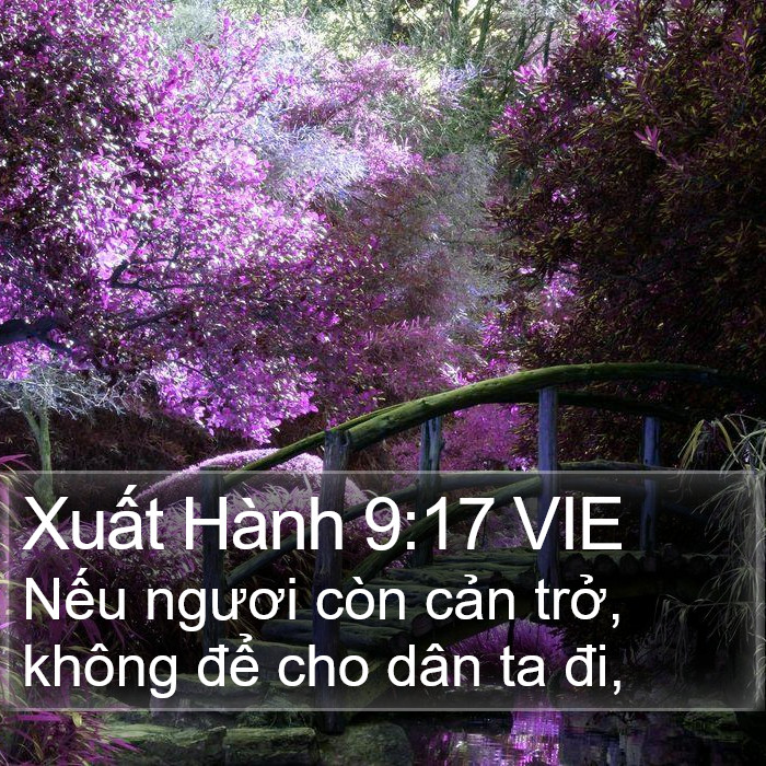 Xuất Hành 9:17 VIE Bible Study