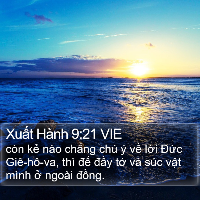 Xuất Hành 9:21 VIE Bible Study