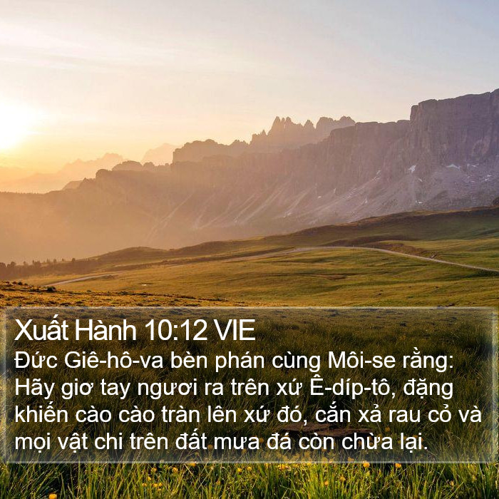 Xuất Hành 10:12 VIE Bible Study