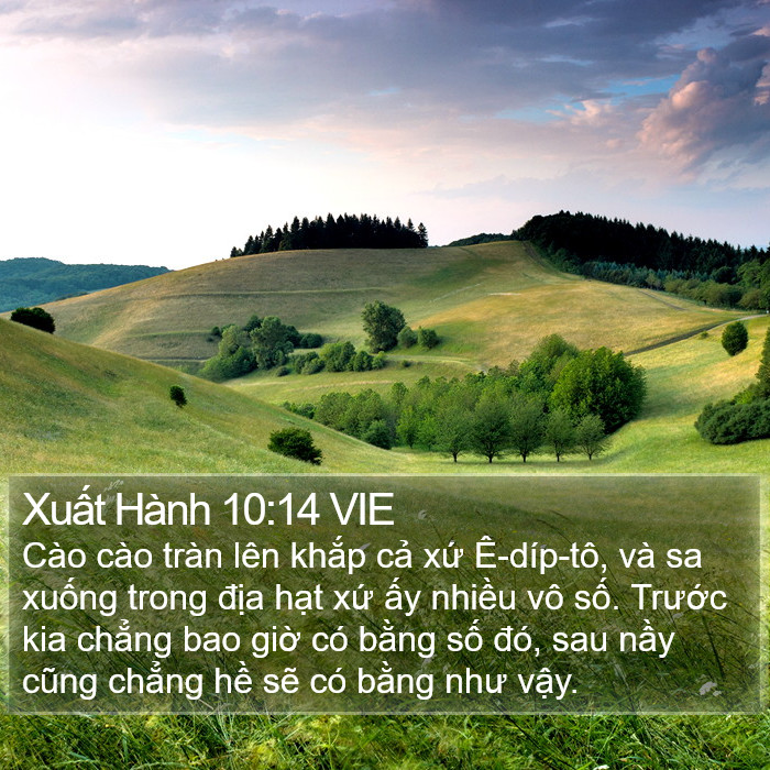 Xuất Hành 10:14 VIE Bible Study